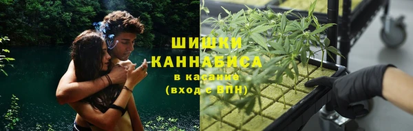 трава Козельск