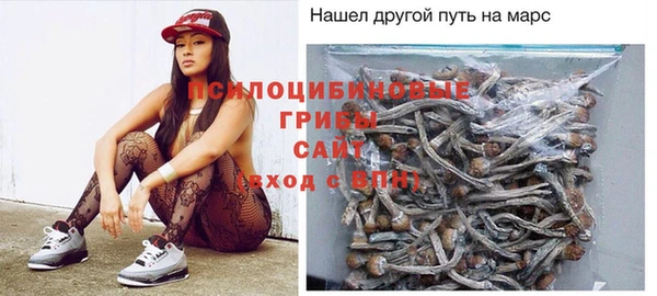 мескалин Козловка