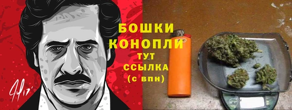 дурь Кинешма