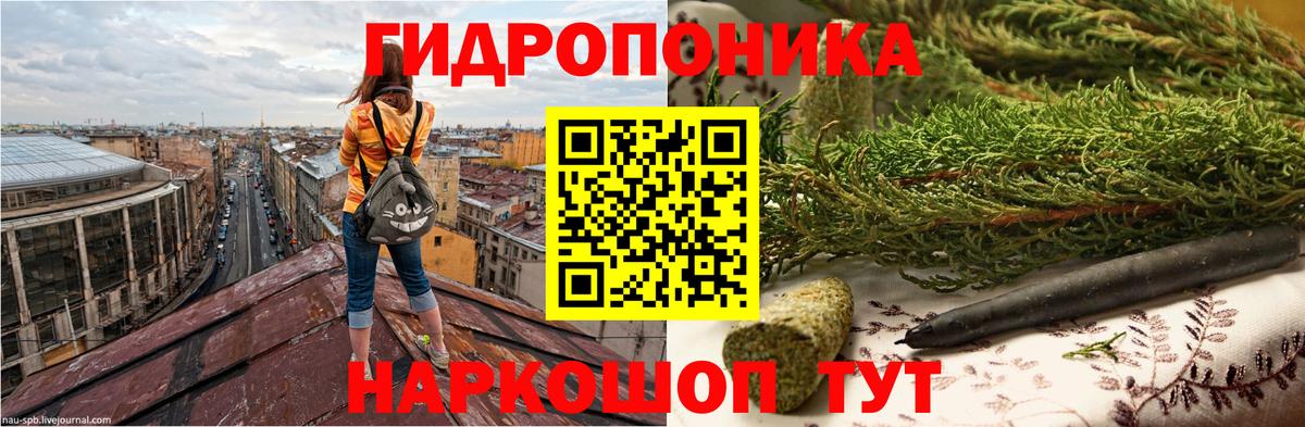 Канабис OG Kush Сегежа
